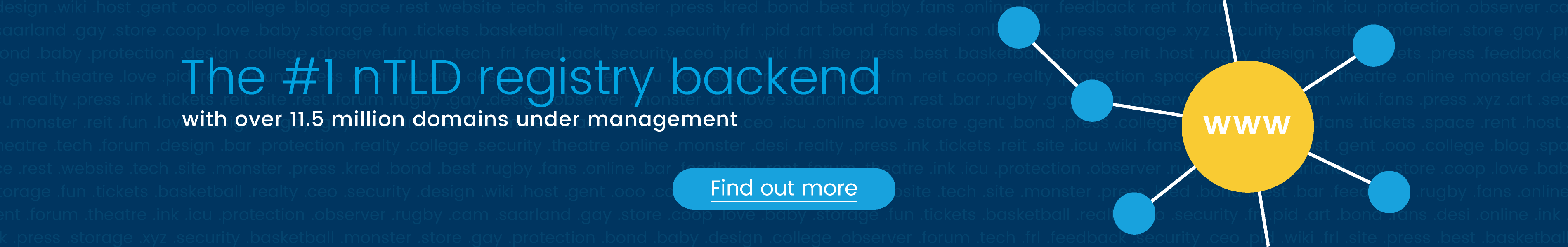 The #1 gTLD registry backend with over 11.5 million domains under management